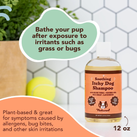 Natural Dog Company Itchy Dog Shampoo
