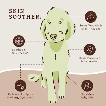 Natural Dog Company Skin Soother Trial Stick